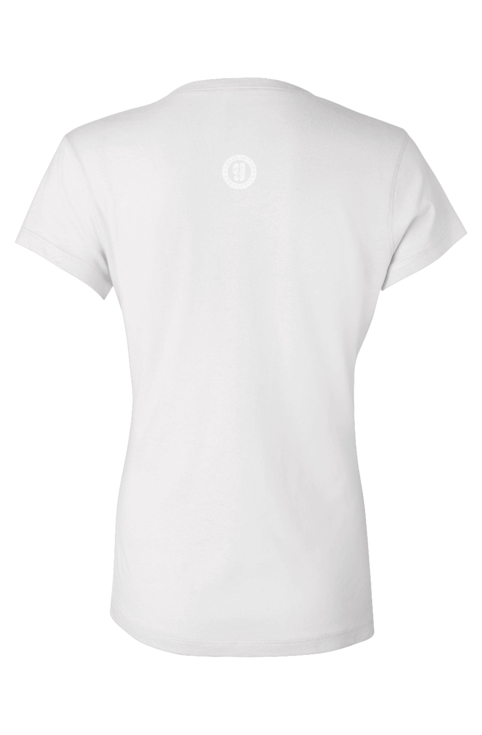 Ladies Light of Truth Ida B. Wells V Neck Tshirt