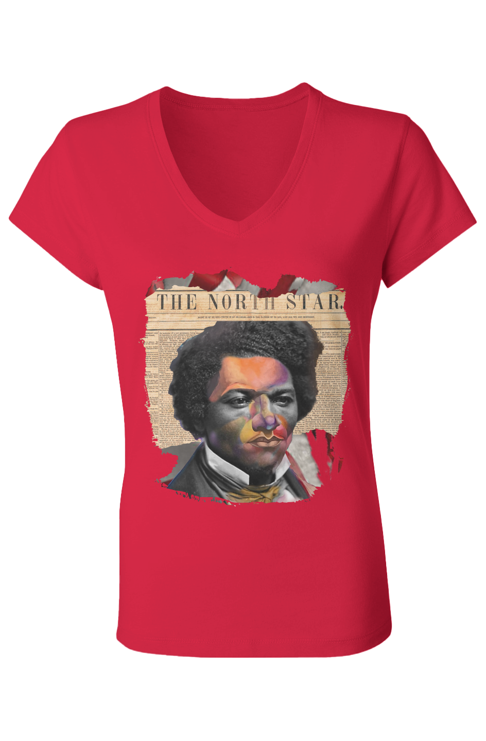 A Lion -- Ladies V Neck T-Shirt