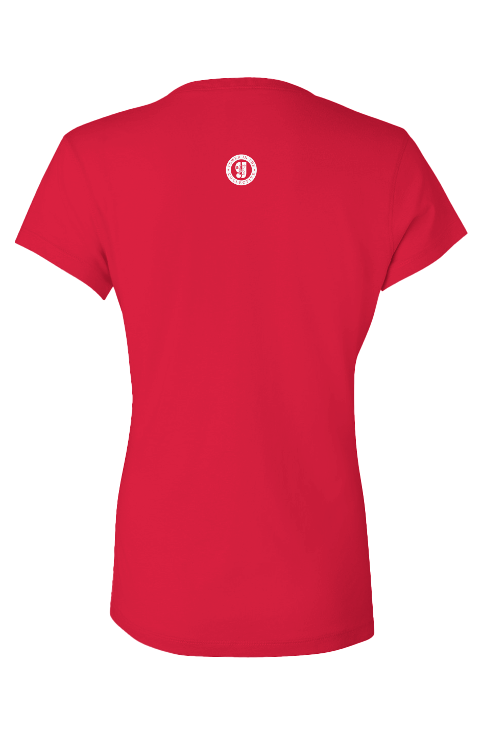 A Lion -- Ladies V Neck T-Shirt
